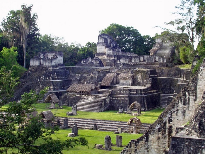 Тикаль - полноценный мегаполис майя. /Фото: adcitymag.ru