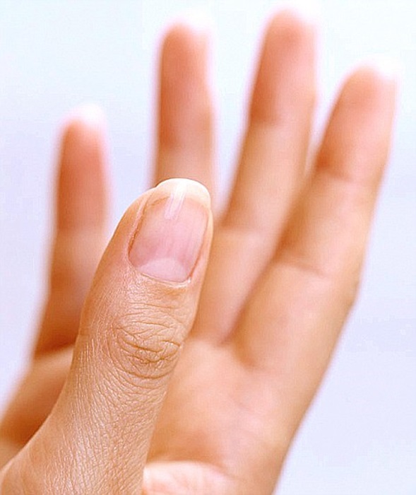 Даже у элемента ногтя есть своё имя. /Фото: nailcouture.livejournal.com
