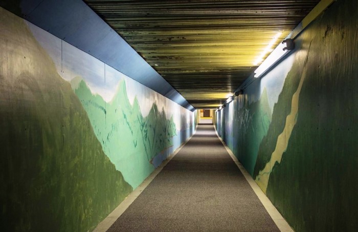 Один из туннелей, которым пользуются в городе. /Фото: dlyakota.ru
