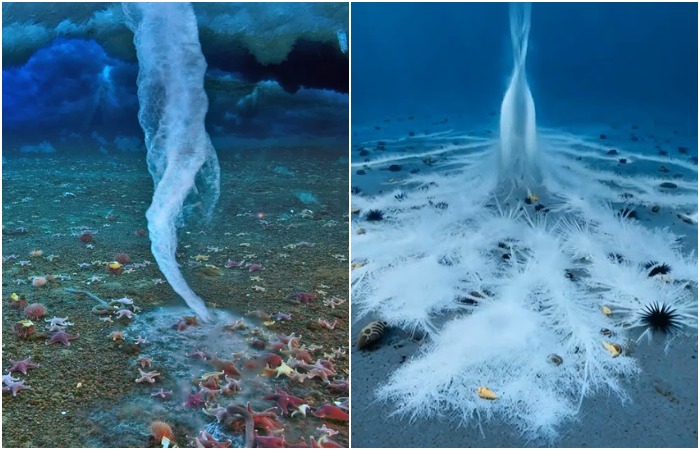 Красивое и одновременно смертоносное ледяное явление. /Фото: en.namu.wiki, youtube.com