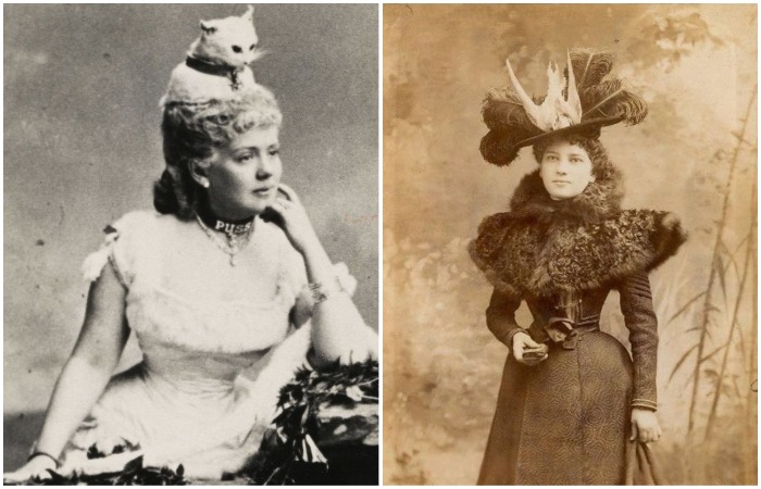 Чучела на шляпках викторианских женщин десятилетиями было нормой. Чучела на шляпках викторианских женщин десятилетиями было нормой.