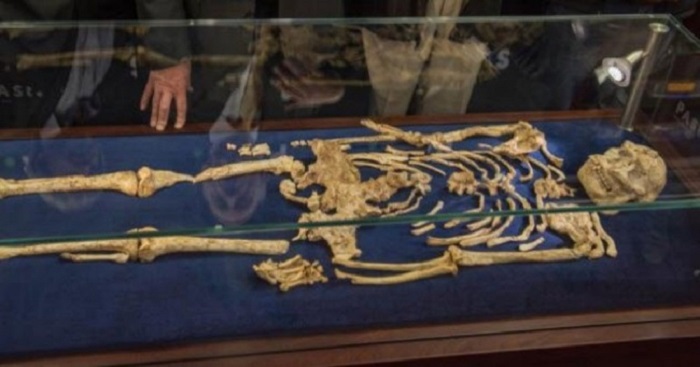 Редчайшая находка древнего человека. /Фото: social.org.ua