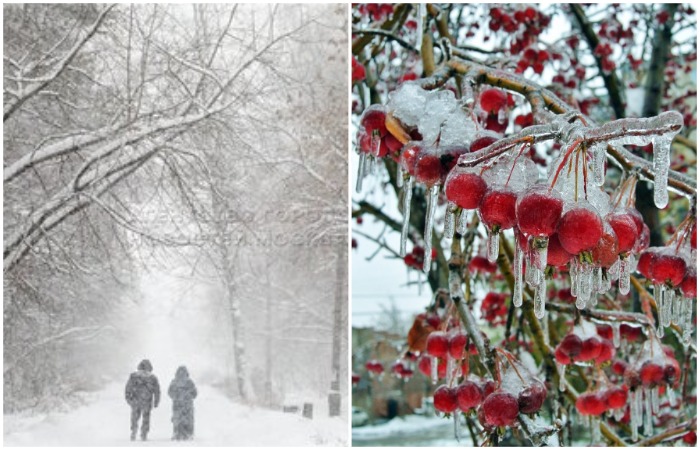 Всегда ли снег белый: 10 заблуждений о погоде и климате, которые давно развенчала наука Всегда ли снег белый: 10 заблуждений о погоде и климате, которые давно развенчала наука потому, дождь, только, этого, может, всегда, ледяной, самом, погоде, является, изменения, атмосферу, просто, углекислого, потепления, климат, одной, глобального, больше, некоторые