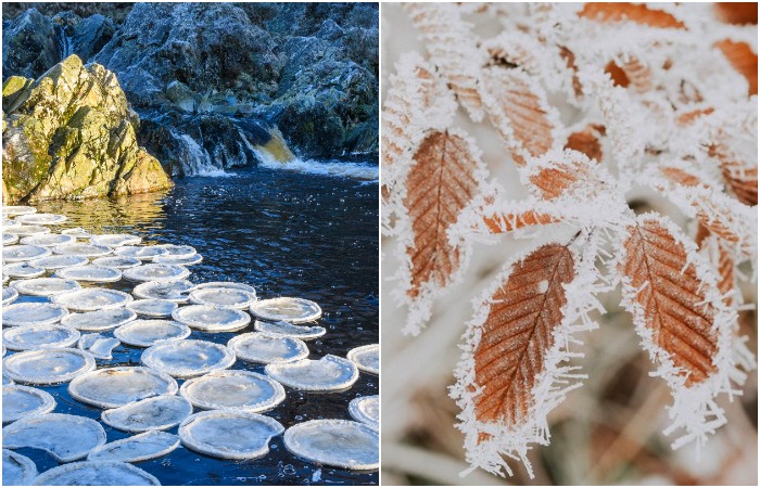 Зимние природные явления, один вид которых завораживает. /Фото: thetimes.com, assets.wordgenius.com