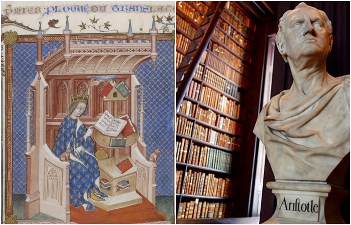 Великие библиотеки, которые не дошли до наших дней. /Фото: sttammanylibrary.org, reddit.com