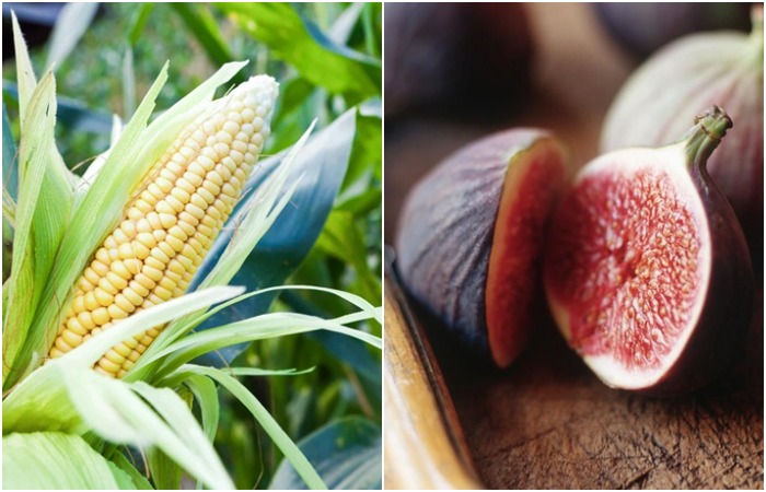 Неожиданное прошлое знакомых продуктов. /Фото: healthygreenkitchen.com, thespruceeats.com