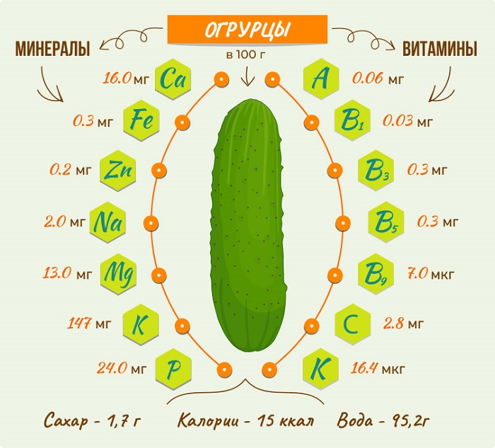 Полный перечень витаминов и элементов, содержащихся в огурце. /Фото: takzdorovo.ru