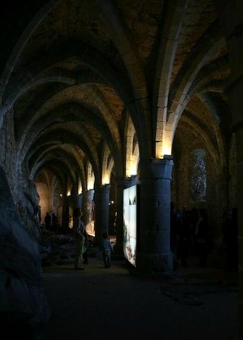 Подземелья швейцарского замка давно обросли мрачными легендами. /Фото: tripadvisor