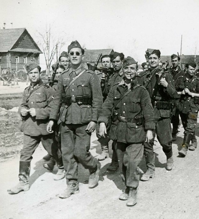 Голубая дивизия СС - единственные испанцы, которые воевали. /Фото: vatnikstan.ru