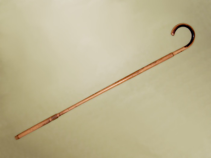 Трость из малаккского тростника, современная реплика. /Фото: wikipedia.org 