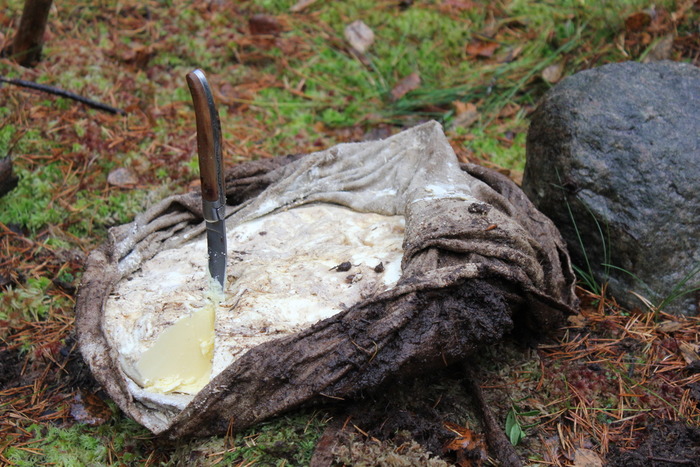 Масло, которое пролежало в болоте сотни лет, и не утратило своих свойств. /Фото: fontegro.com