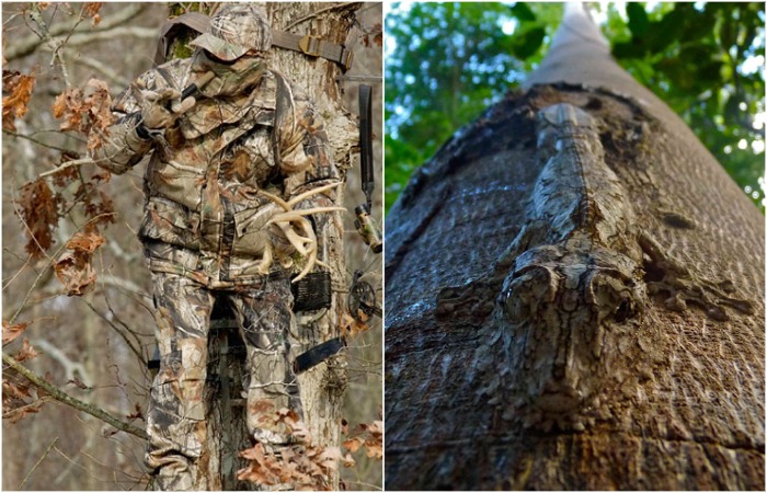 Первыми камуфляж освоили животные, а люди у них потом научились. Первыми камуфляж освоили животные, а люди у них потом научились.