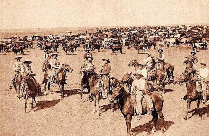 Даже если ковбой был на лошади - далеко не факт, что она принадлежала ему.