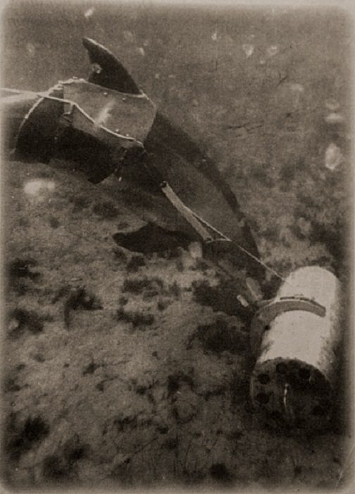 Зачастую плавающих млекопитающих тренируют обнаруживать боеприпасы на дне.