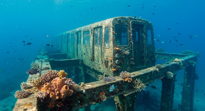 Программа по превращению старых вагонов в рифы казалась со всех сторон выгодной.