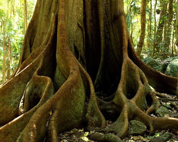 Всегда ли снег белый: 10 заблуждений о погоде и климате, которые давно развенчала наука Всегда ли снег белый: 10 заблуждений о погоде и климате, которые давно развенчала наука потому, дождь, только, этого, может, всегда, ледяной, самом, погоде, является, изменения, атмосферу, просто, углекислого, потепления, климат, одной, глобального, больше, некоторые