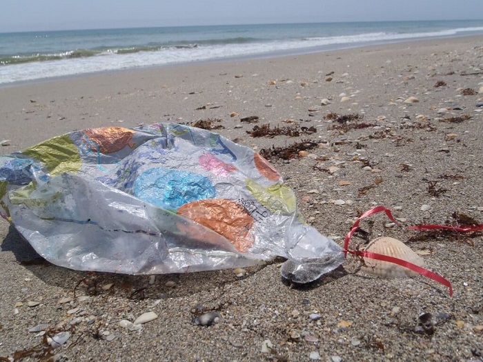 Пляжи и озёра убирали от подобного мусора месяцами. /Фото: 4party.ua