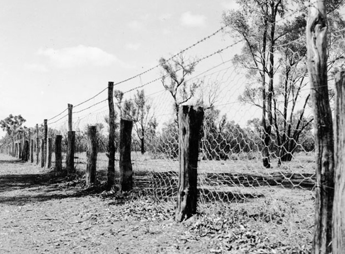 Первые заборы стали возводить ещё в конце позапрошлого века. Первые заборы стали возводить ещё в конце позапрошлого века.