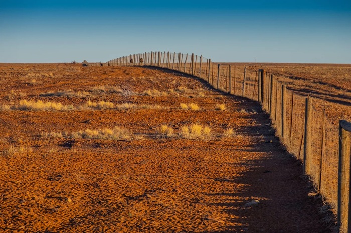 Так участок самого длинного забора на планете выглядит сейчас. Так участок самого длинного забора на планете выглядит сейчас.