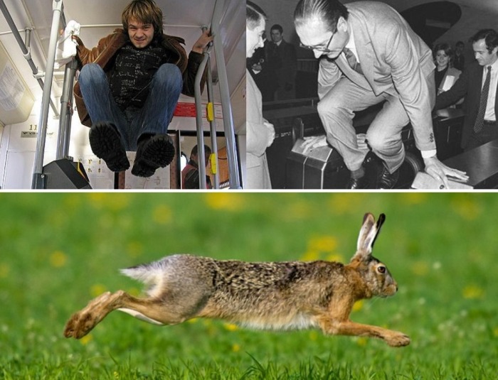 Безбилетники, как и зайцы, ловкие, прыгучие и быстрые / Фото: poznavaemoe.ru