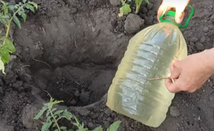 Отверстия небольшого размера следует делать в наполненной водой бутылке / Фото: YouTube