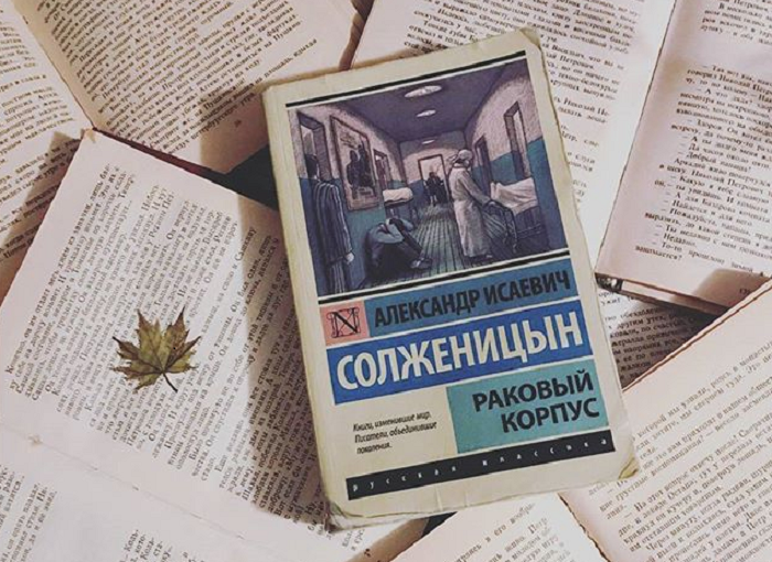Трутовик скошенный стал известен благодаря книге А.Солженицина «Раковый корпус» / Фото: livelib.ru