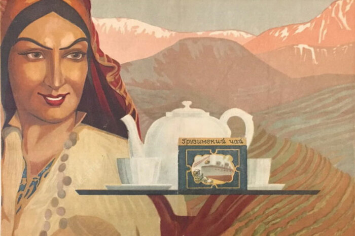 Качество современного чая из Грузии не уступает аналогам / Фото: 1coffee.ru