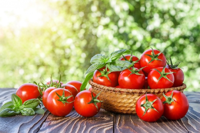 Для длительного хранения помидоры должны быть крепкими и абсолютно здоровыми, ничем не поврежденными / Фото: zdorovue.ru