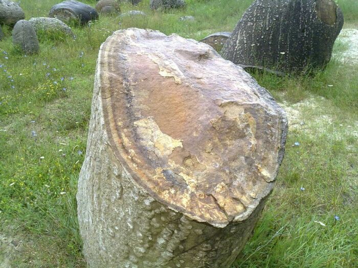 Непонятным явлением для ученых стало и наличие внутри данных камней «годовых колец», что характерно для деревьев / Фото: tainyvselennoi.ru