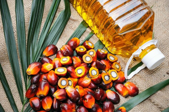 Пальмовое масло не запрещено использовать, а потому его повсеместно добавляют / Фото: apk-inform.com 
