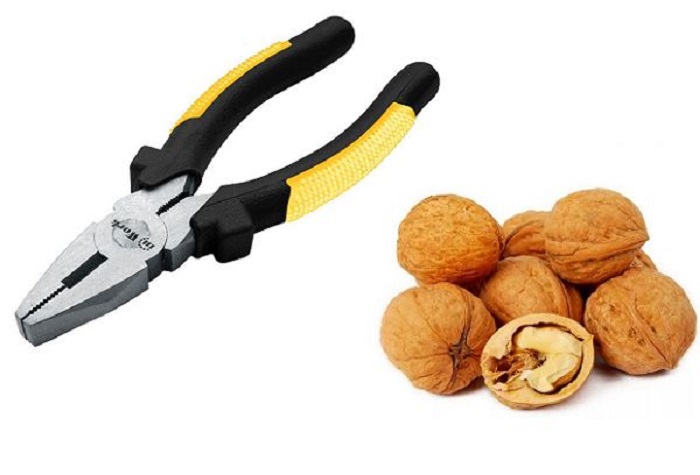 Освободить ядро ореха несложно с помощью плоскогубцев / Фото: dom-mpi.ru