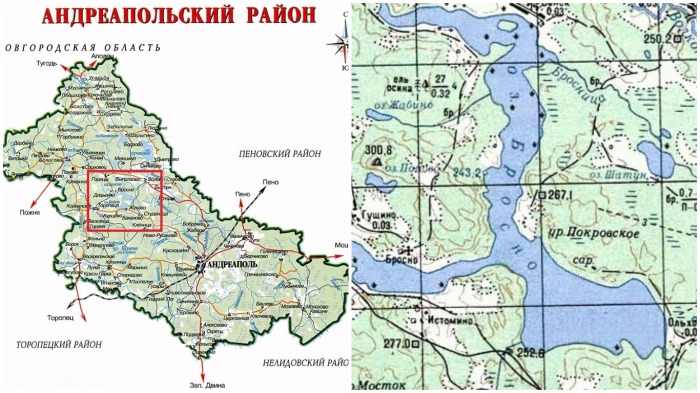 Находится озеро недалеко от Андреаполя, города в Тверской области в глухом лесу / Фото: maps.vlasenko.net