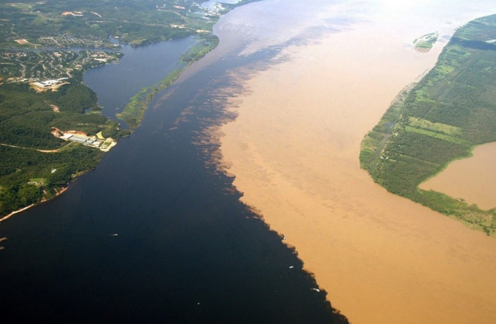 Воды Амазонки, попадая в океан, на несколько тысяч километров его опресняют / Фото: ngorod.net