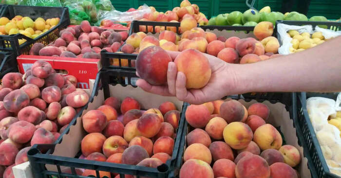 Вкусовые характеристики персиков в некоторой степени зависят от сорта / Фото: sovkusom.ru