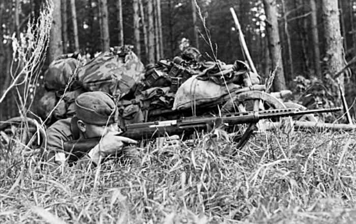 Стрелковое советское оружие для немцев тоже было ценным / Фото: s30960592108.mirtesen.ru