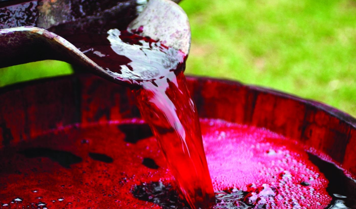В процессе брожения виноград выделяет небольшое количество метилового спирта / Фото: teletype.in