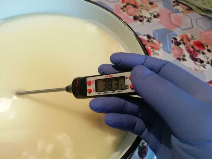 Температура молока должна быть в пределах 38-42 градусов / Фото: петропавловск.news