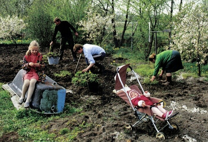 Размер участка был определен неслучайно, исходя из потребностей семьи в 4-6 человек / Фото: zzackon.ru