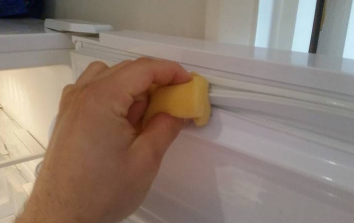 Регулярно протирайте уплотнитель и внутреннюю поверхность холодильника / Фото:  sdelai-lestnicu.ru