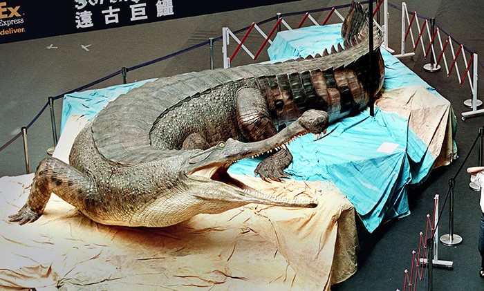  Это вымерший род рептилий, крупнейший среди всех крокодилов / Фото: 4.bp.blogspot.com