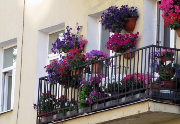 7 готовых схем для выращивания цветов за окном квартиры, как в итальянских многоэтажках