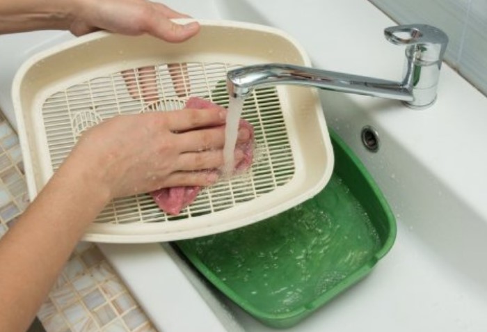 Thoroughly wash each component of the tray / Photo: img.instory.cz