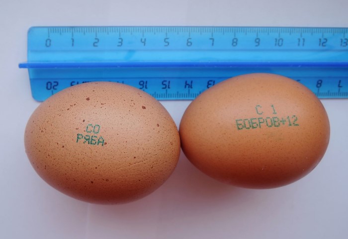 Все яйца делятся на категории в зависимости от веса / Фото: slavklin.ru