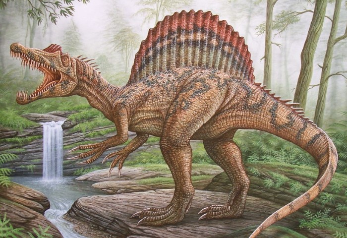 Спинозавр - крупнейший хищник, которого когда-либо обнаруживали ученые / Фото: live.staticflickr.com