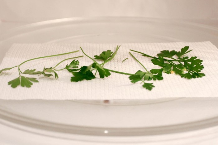 В микроволновке можно высушить травы всего за несколько минут / Фото: i8.vgoroden.ru