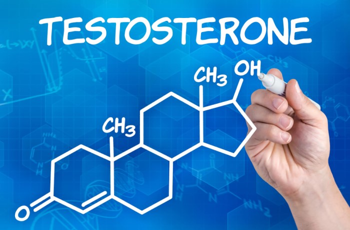 Частое употребление алкоголя снижает выработку тестостерона / Фото: oprostatite.info