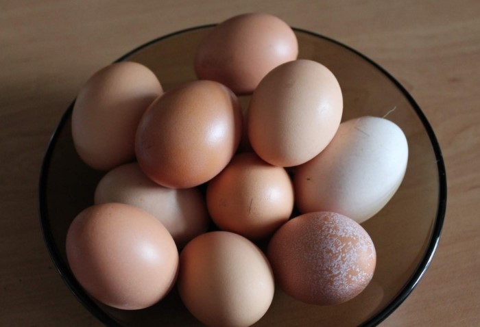 Внешний вид скорлупы никак не влияет на качество яиц / Фото: i.mycdn.me