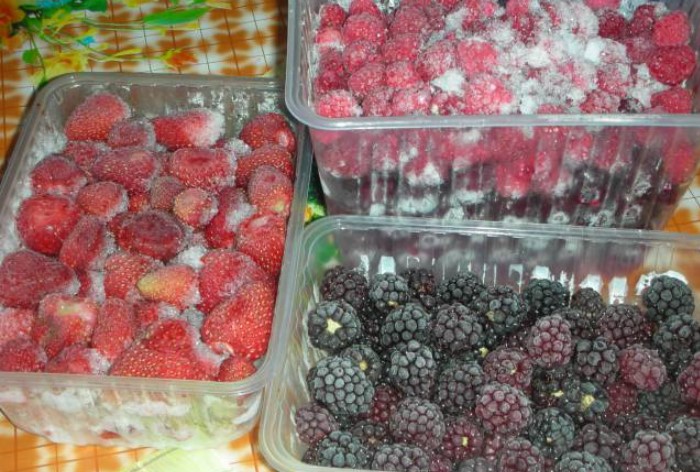  Если разморозить плоды, а потом заново зморозить, они потеряют все полезные свойства / Фото: forumdacha.ru