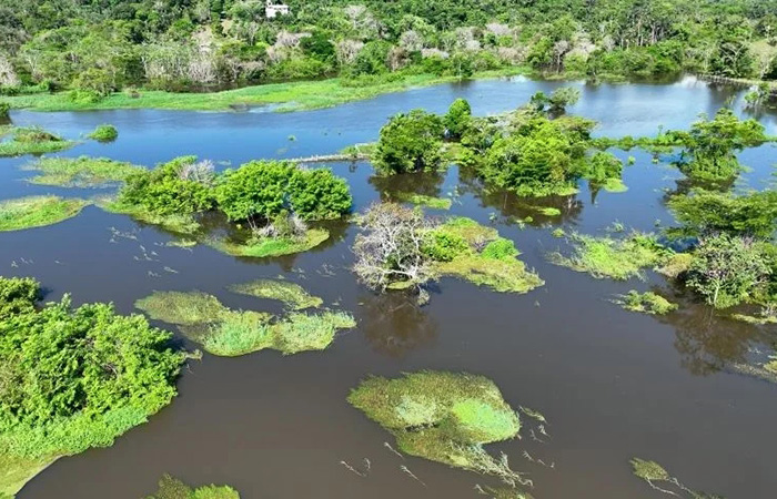Стройка неизбежно разрушит экосистему
