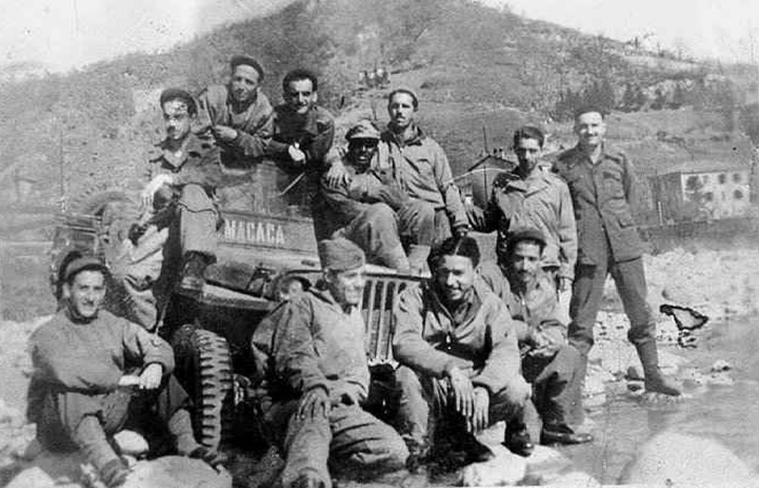 Бразильская армия Бразильская армия